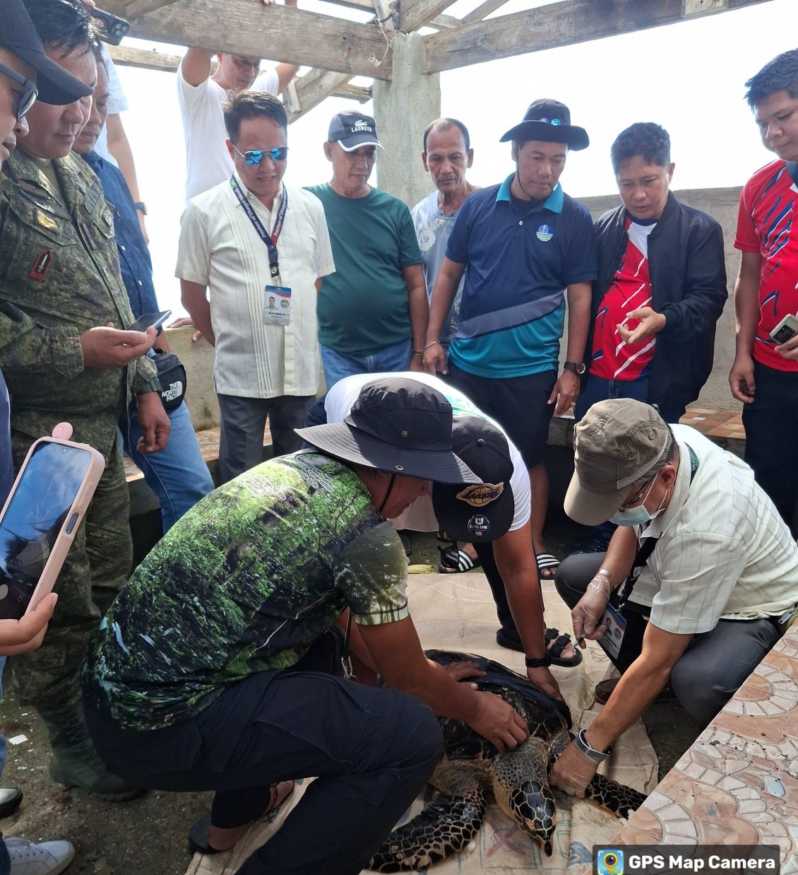 Critically Endangered Hawksbill Sea Turtle Rescued and Released in ...