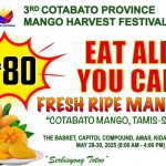 3416 mangofestivalnorthcot975044030494291