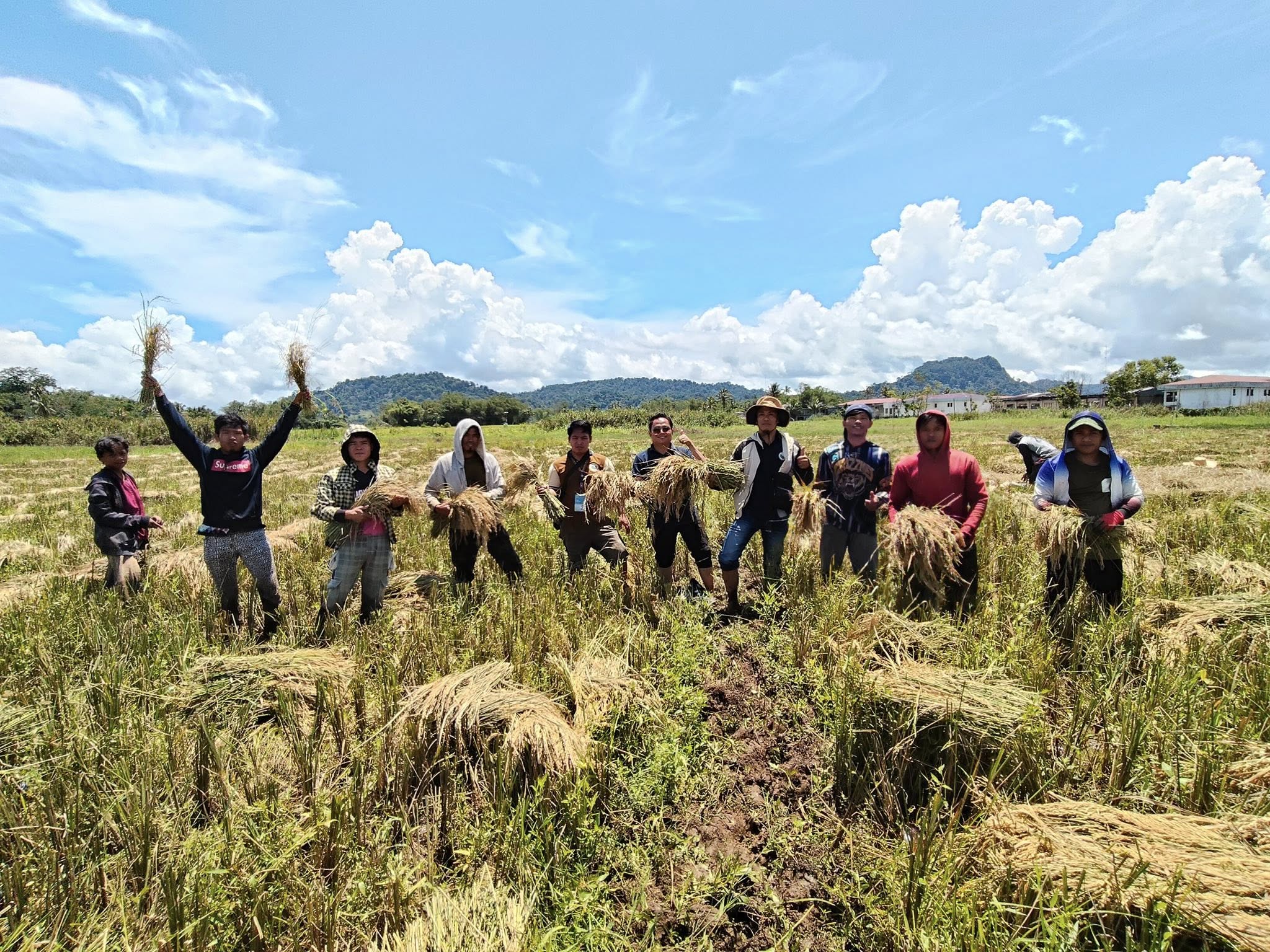 Lanao del Sur Farmers Receive Continued Support Amid Rice and Fish ...
