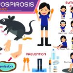 3508 leptospirosis9403304959650404