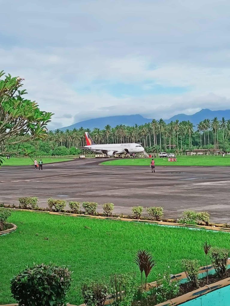 3654 palozamis069595040530492