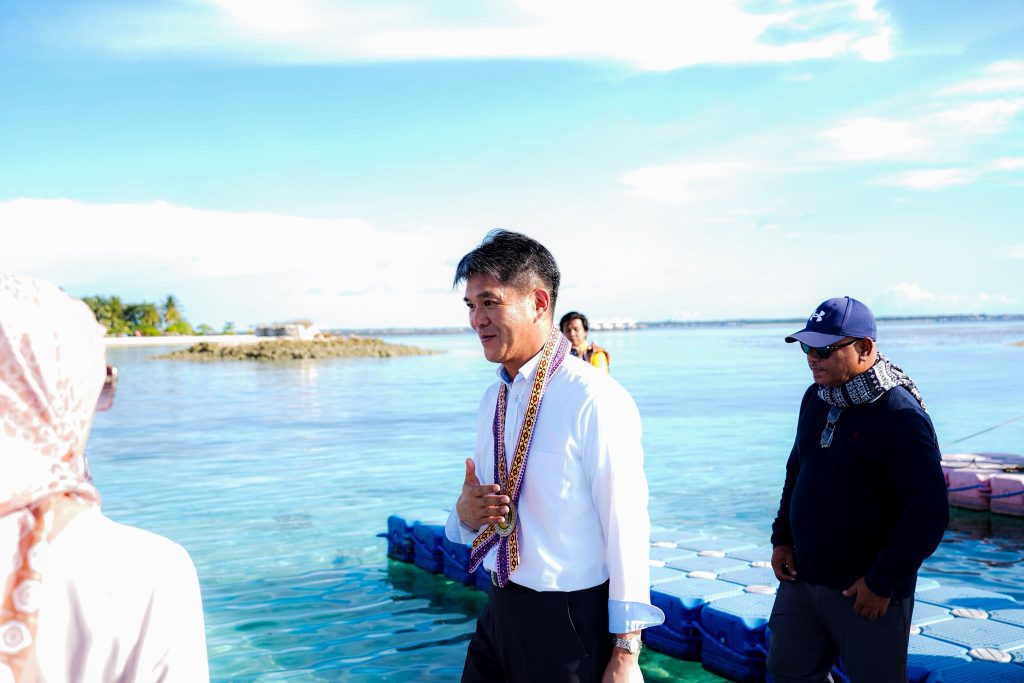 3667 japaambatawi tawi9102394495959394933