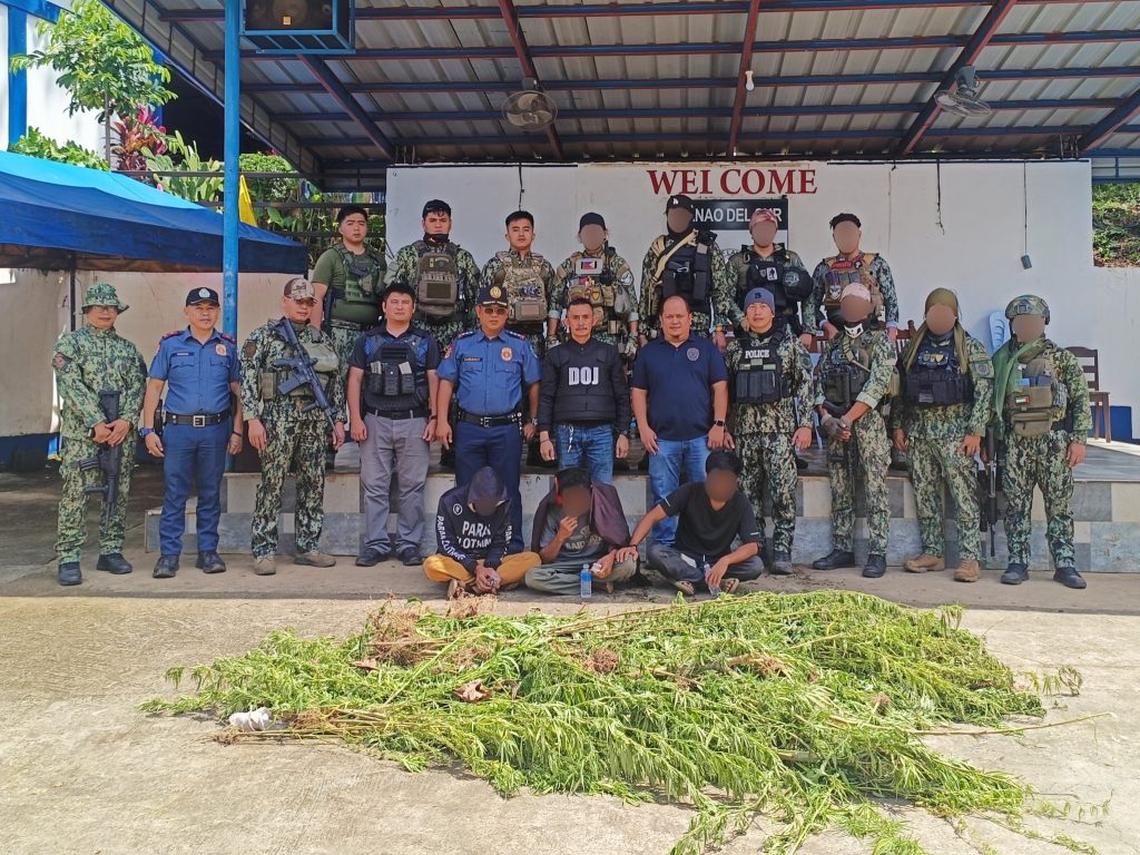 3737 marijuanasulandomalds9294585849349495562