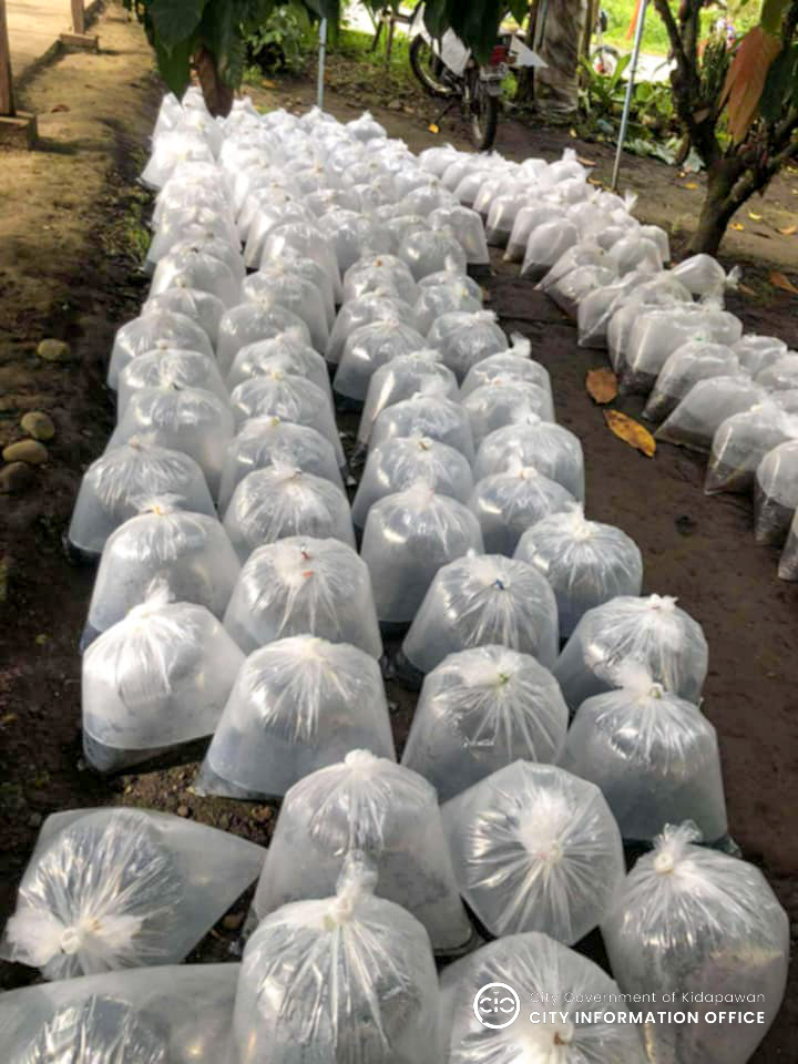 3752 kidfarmers93111103394940