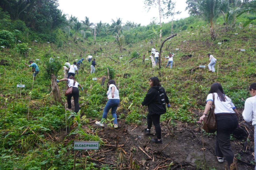 3768 treeplantingdavor902044994