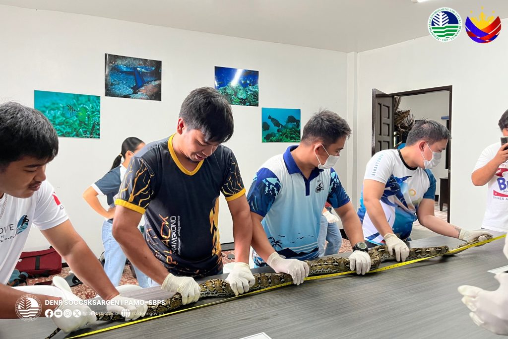 3778 wildlife9020339494942