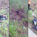 4155 hirtandrunmatalam97880099