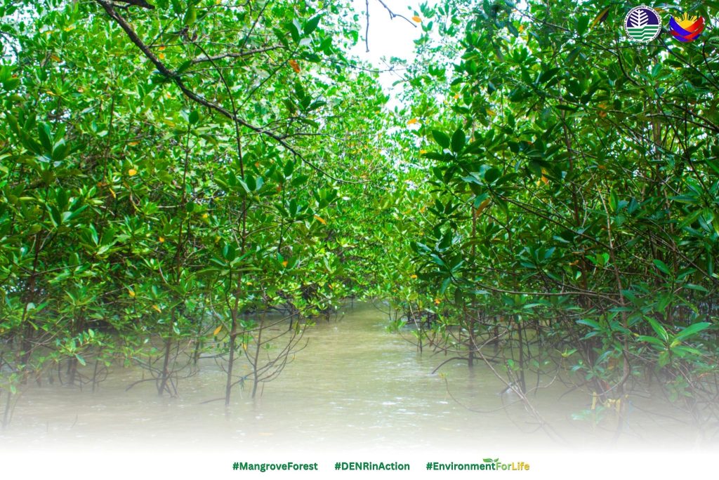 4229 pangasihan977641