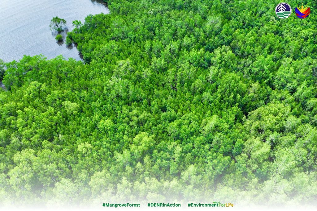 4229 pangasihan977642