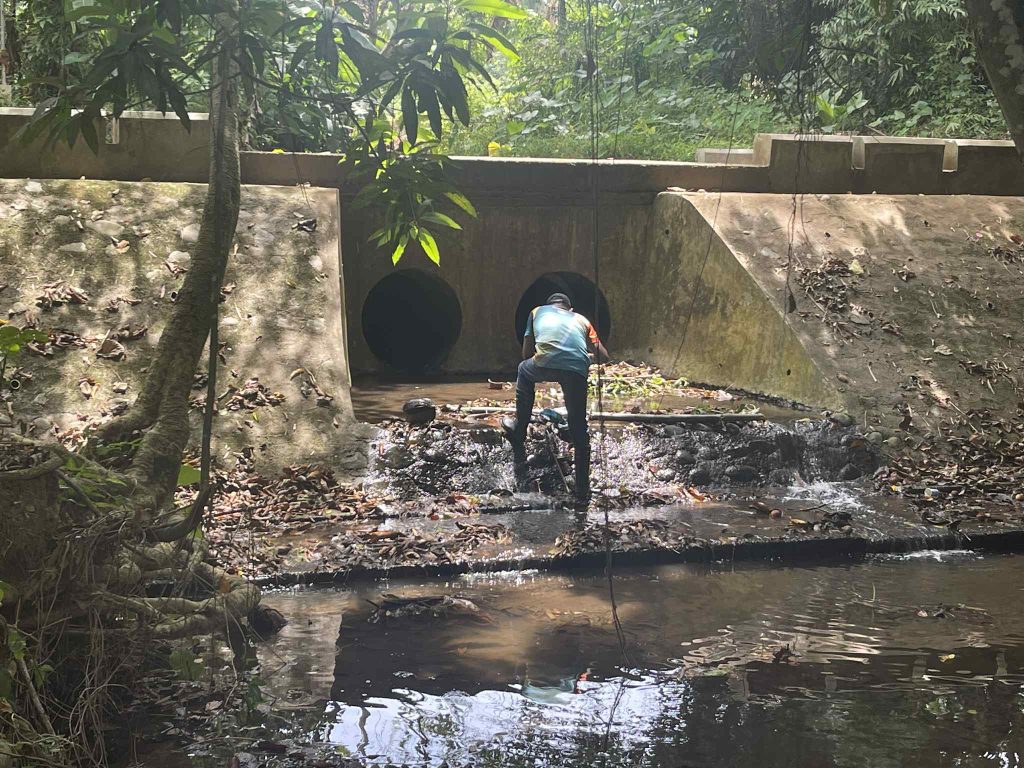 4923 diseasesmalaybalay98440301