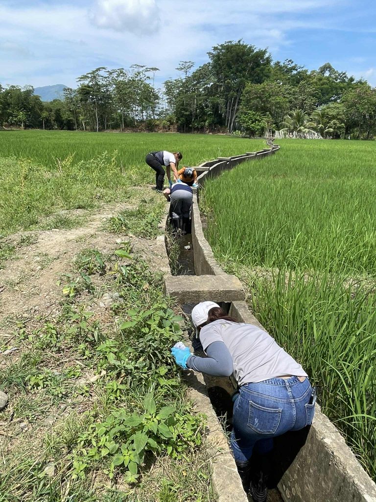 4923 diseasesmalaybalay98440302