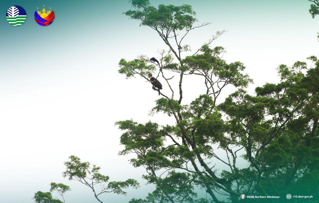 5029 pheaglekalatungan9094949859