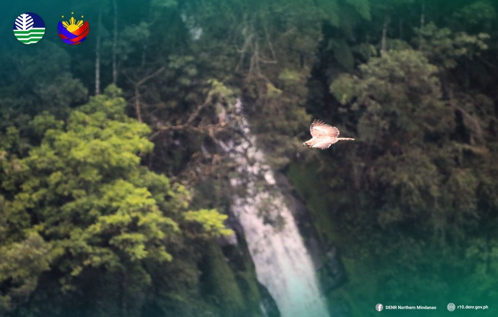 5029 pheaglekalatungan90949498591