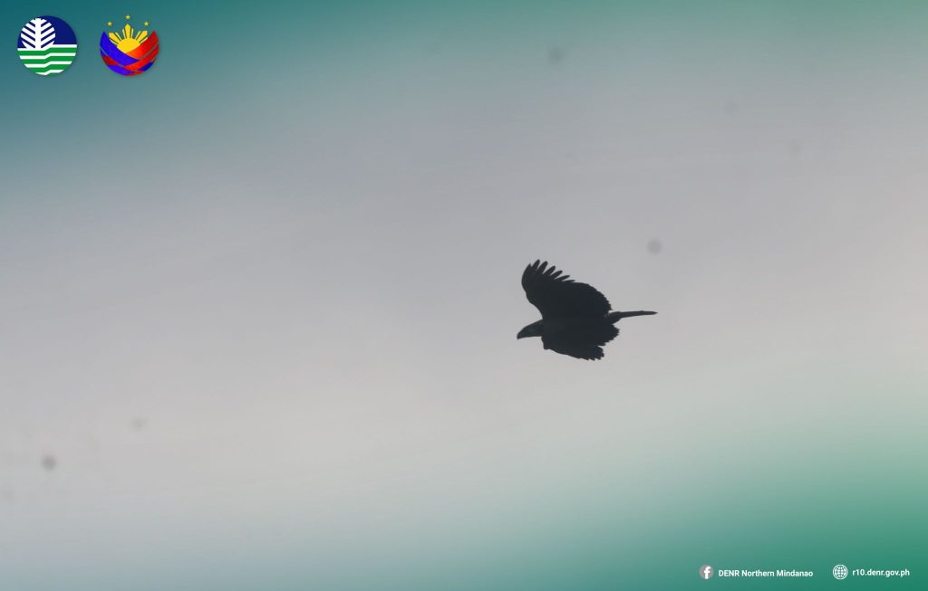 5029 pheaglekalatungan90949498592