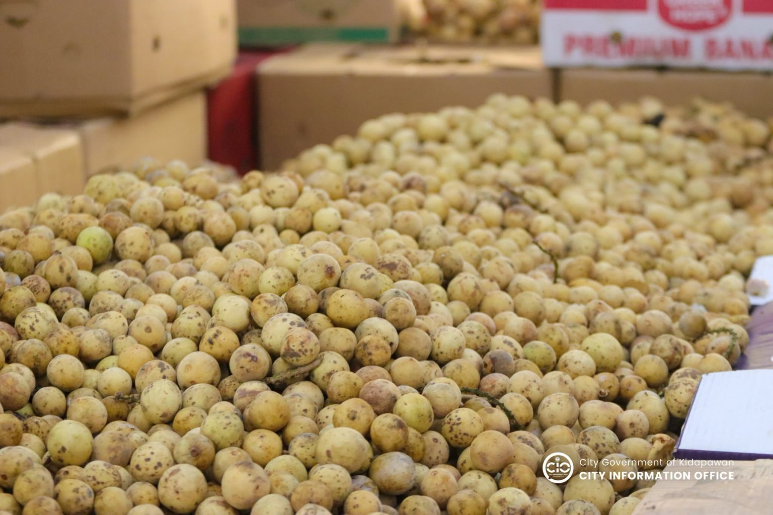 Timpupo Festival Brings 26 Metric Tons Of Free Tropical Fruits To timpupo-festival-brings-26-metric-tons-of-free-tropical-fruits-to