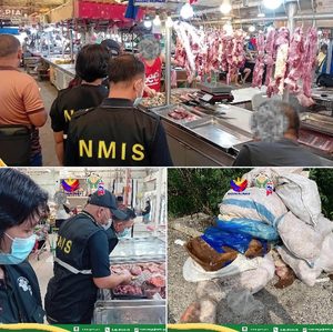 NMIS Confiscates 681.58 Kilograms of Spoiled Chicken By-Products in Bislig City