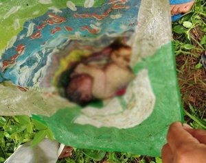 Newborn Baby Girl Found Alive Inside Wrapped Sack in President Quirino, Dies at Hospital