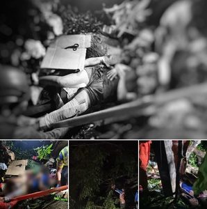 Two Killed, Three Injured as Century-Old Mango Trees Crush Homes in Davao City