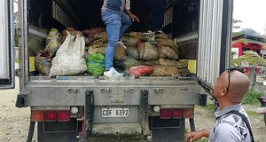 Authorities Seize ₱1.2-M Worth of Suspected Illegally Sourced Mineral Ore in Sindangan